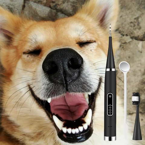 An Electric Toothbrush And Cleaner Set for human and pets