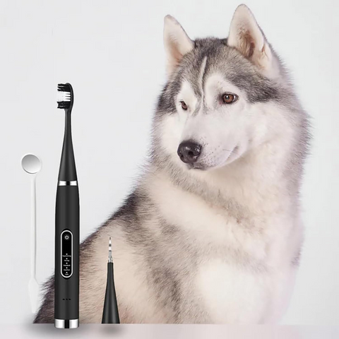 An Electric Toothbrush And Cleaner Set for human and pets